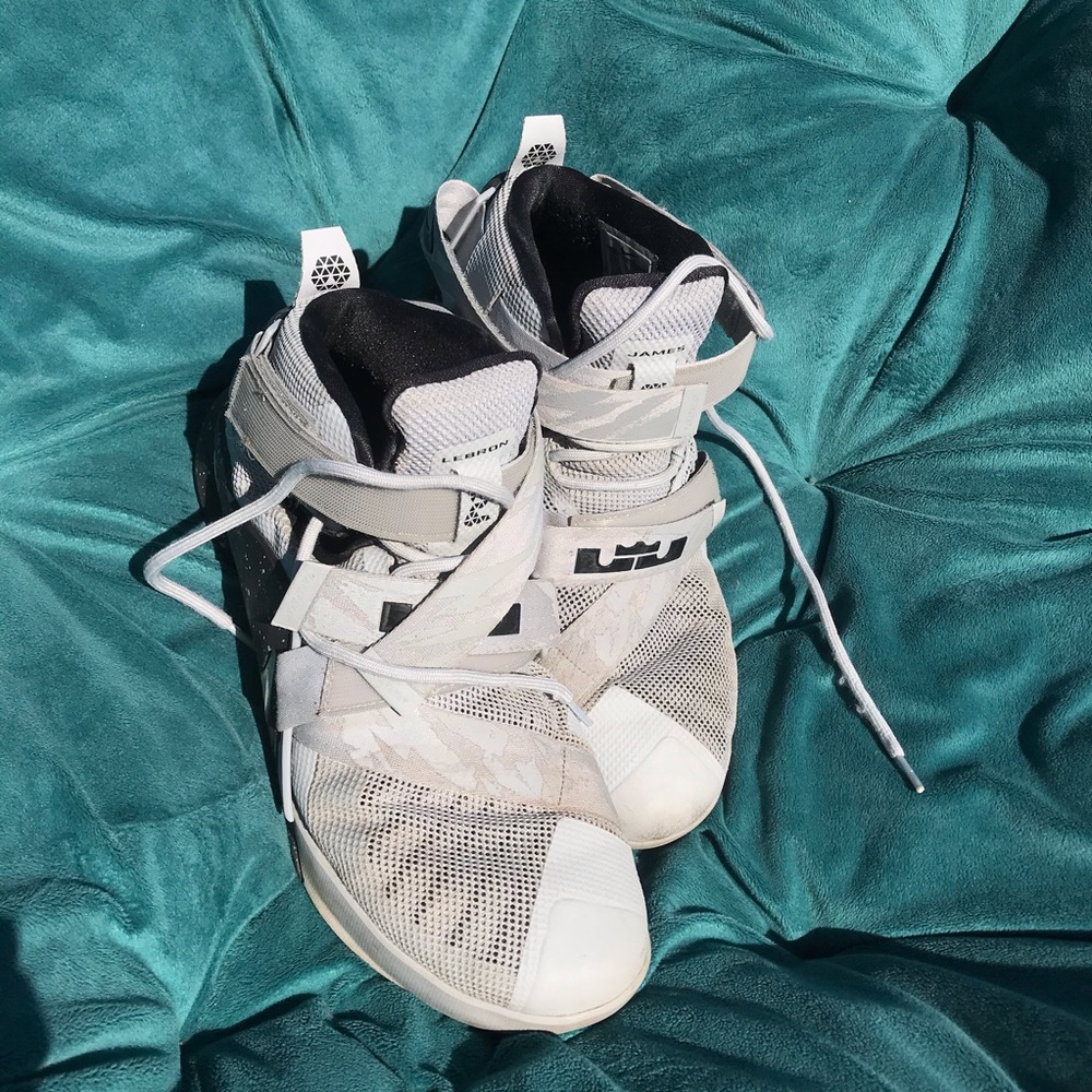 Lebron James Special Addition Shoes